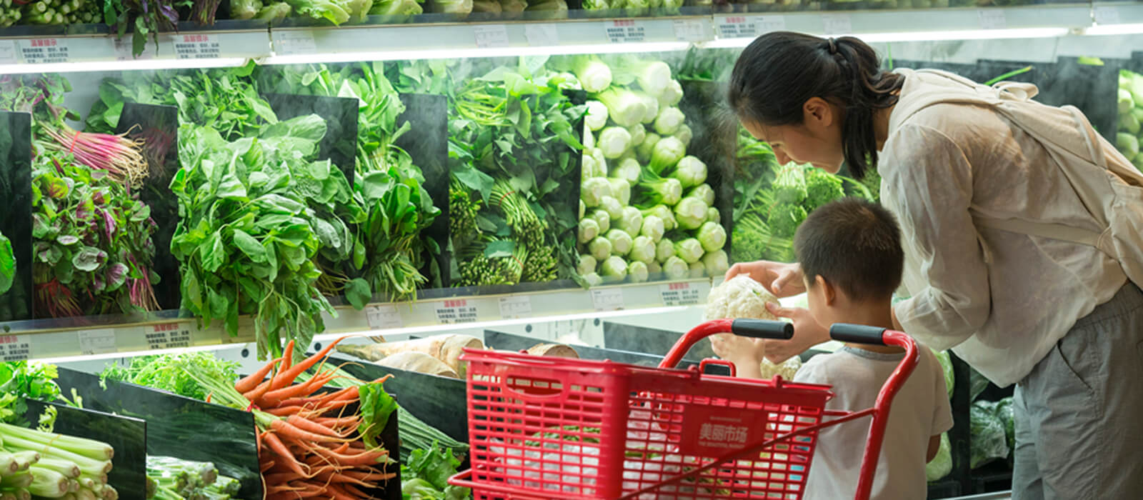 生活 是做出友善環境的選擇